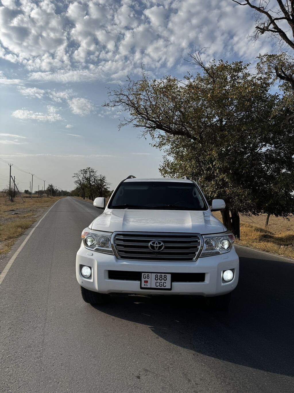 Toyota Land Cruiser: 2012 г., 4.6 л, Автомат, Газ: фото 2