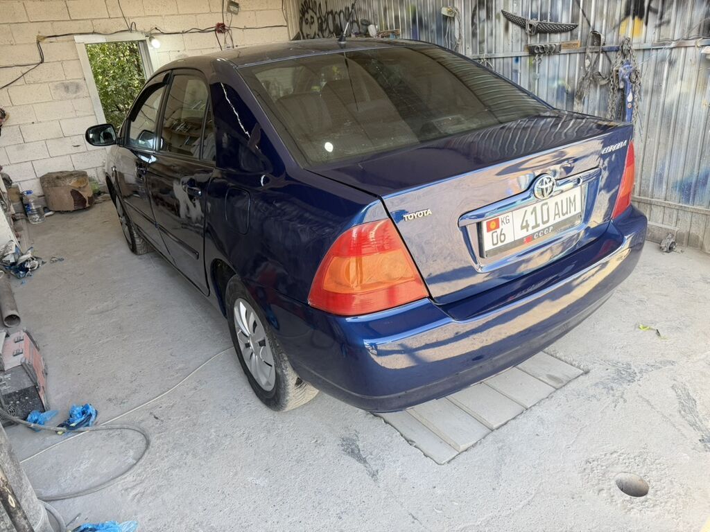 Toyota Corolla: 2006 г., 1.6 л, Автомат, Бензин, Седан: фото 3
