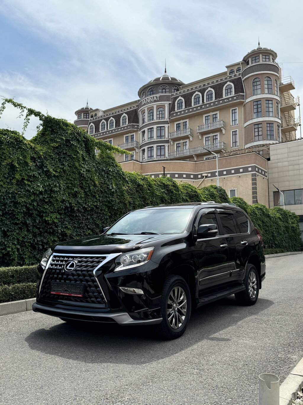 Lexus GX: 2010 г., 4.6 л, Автомат, Бензин: фото 3