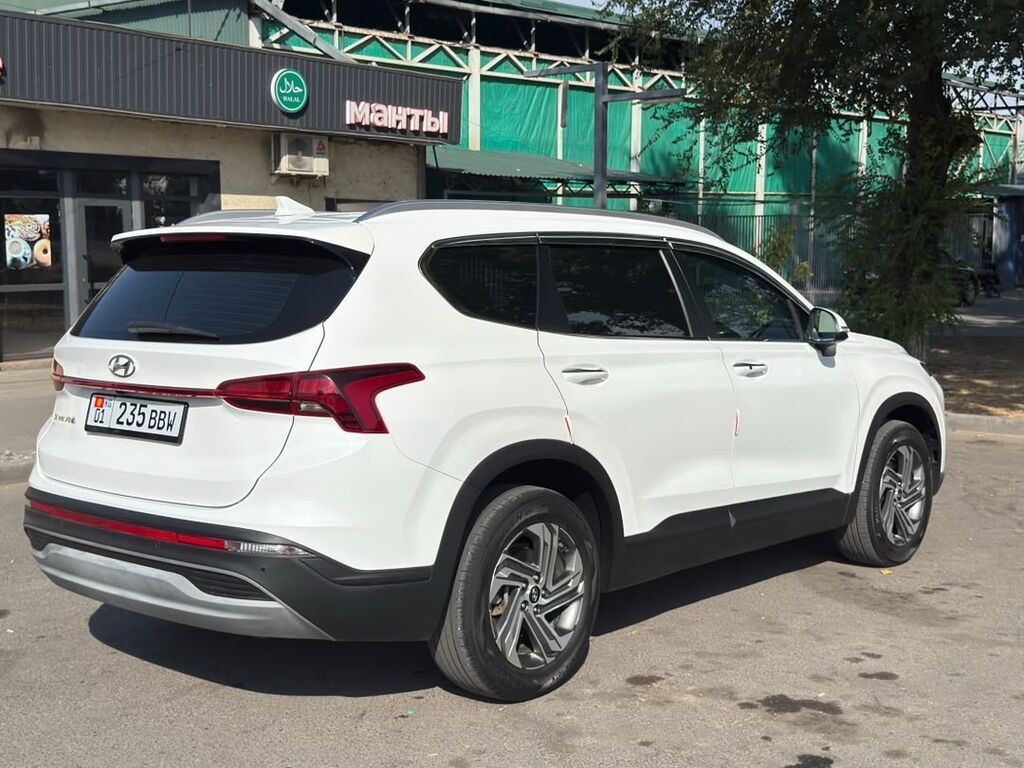 Hyundai Santa Fe: 2020 г., 2.2 л, Робот, Дизель, Внедорожник: фото 6