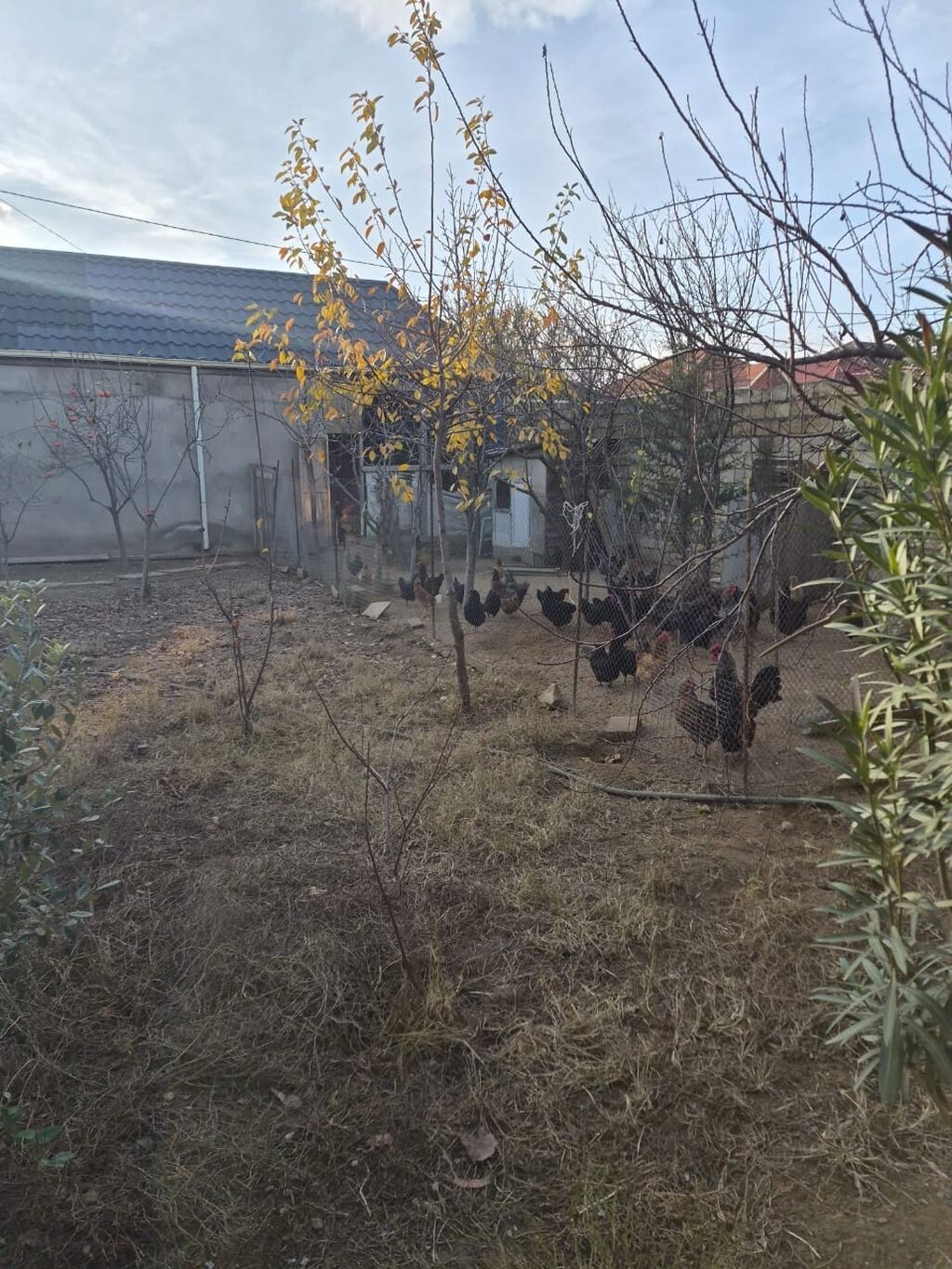 Mehdiabad, 150 kv. m, 4 otaqlı, Hovuzsuz