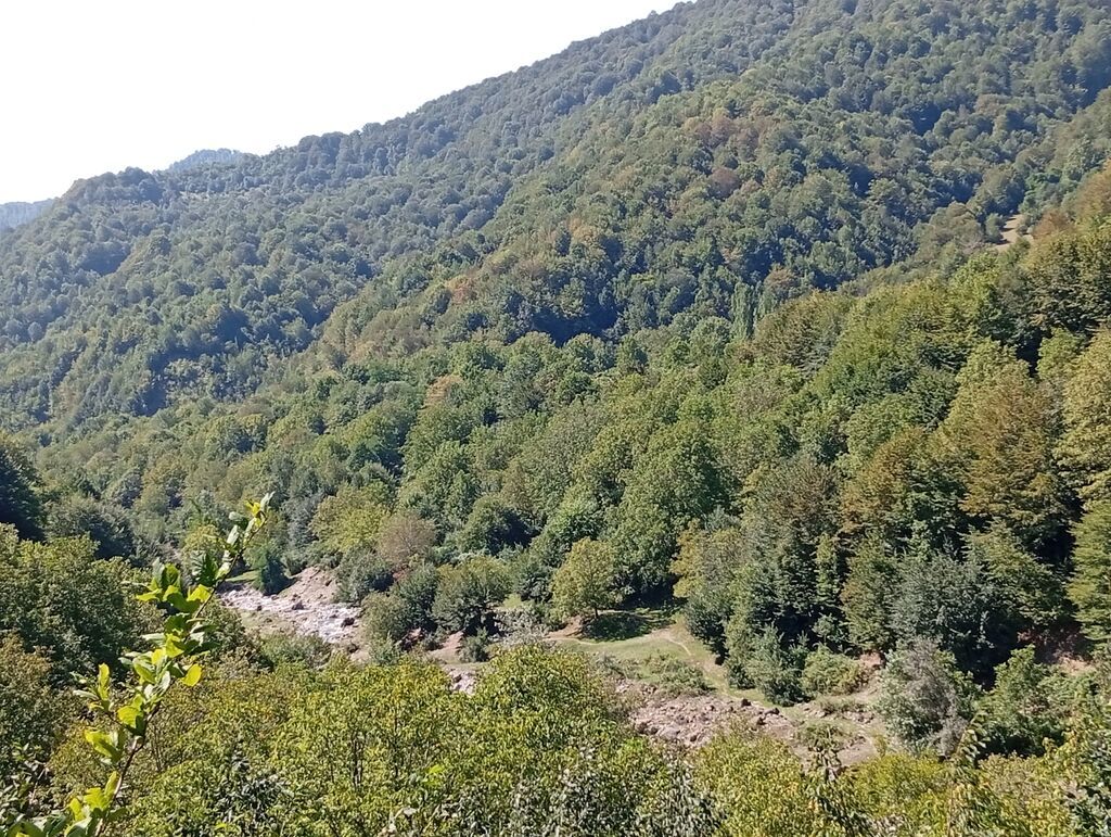 90 kv. m, 2 otaqlı, Hovuzsuz
