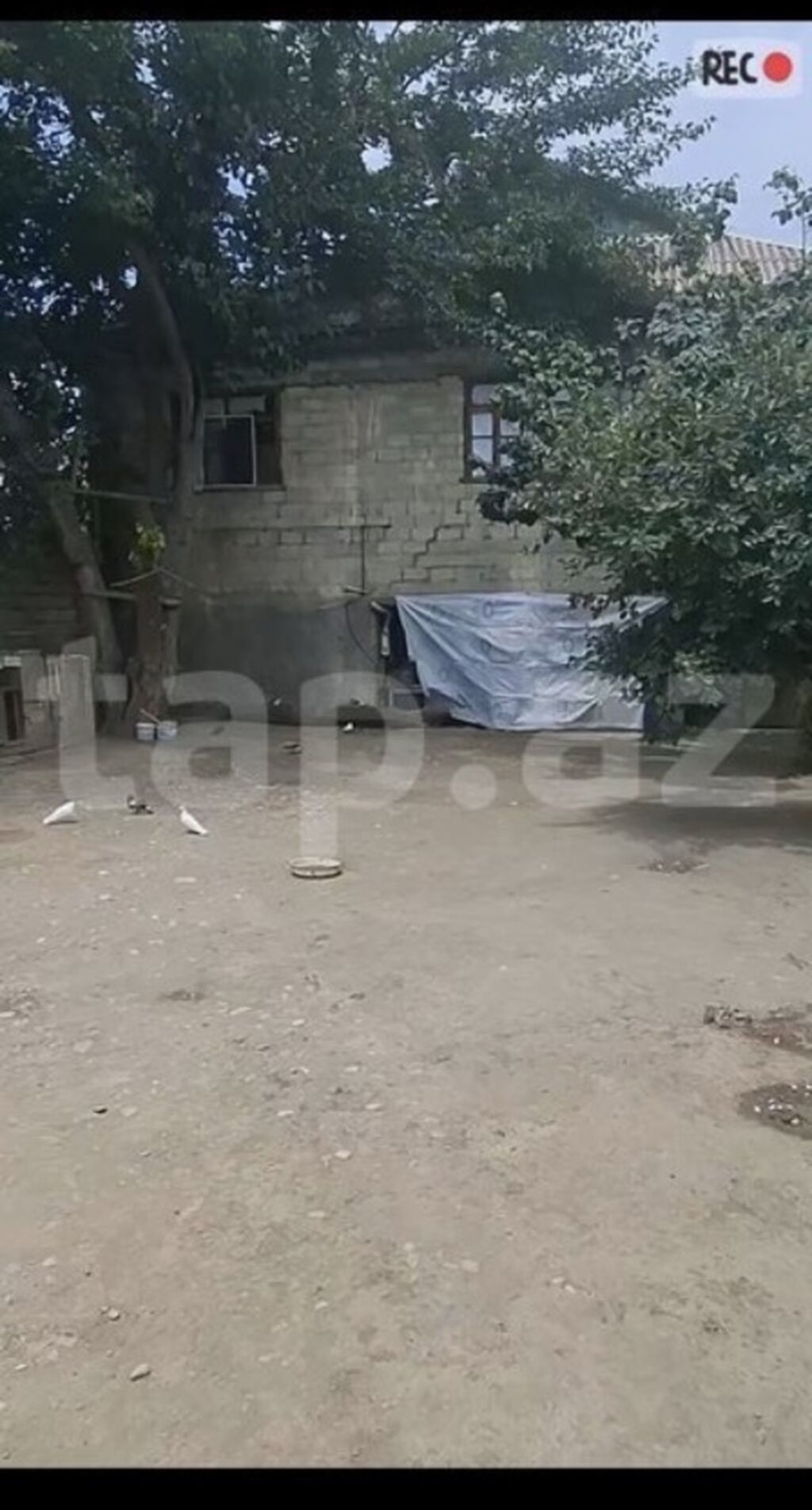 4 otaqlı, 200 kv. m