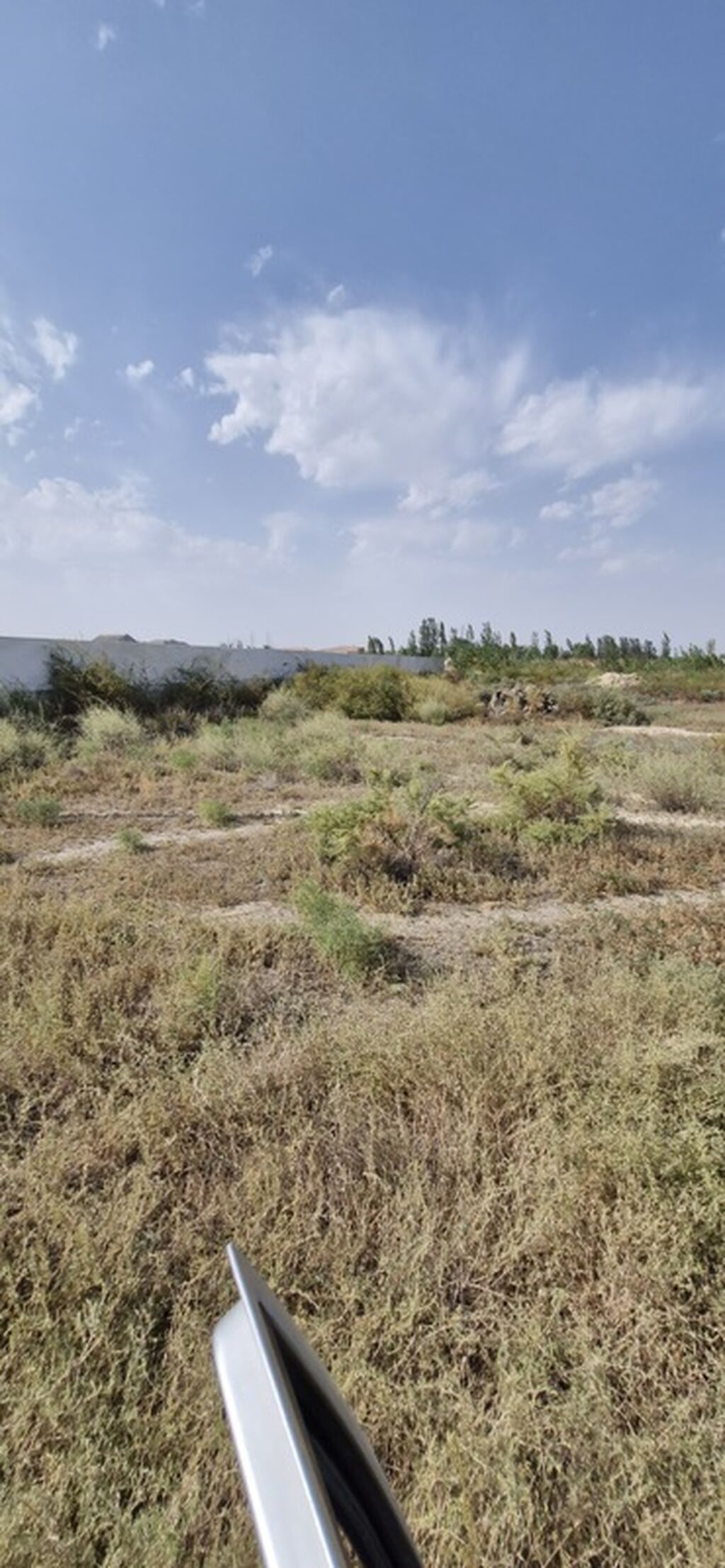 12 sot, Mülkiyyətçi, Bələdiyyə, Kupça (Çıxarış)