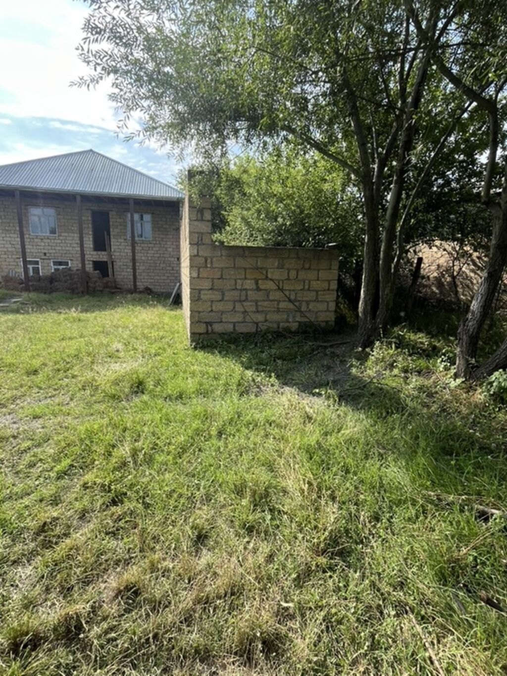 6 sot, Tikinti, Kupça (Çıxarış)