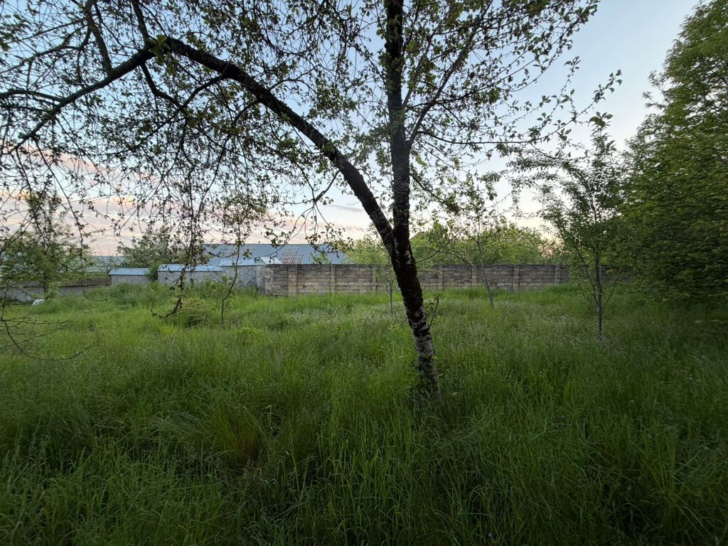 3 otaqlı, 110 kv. m, Kredit yoxdur, Orta təmir