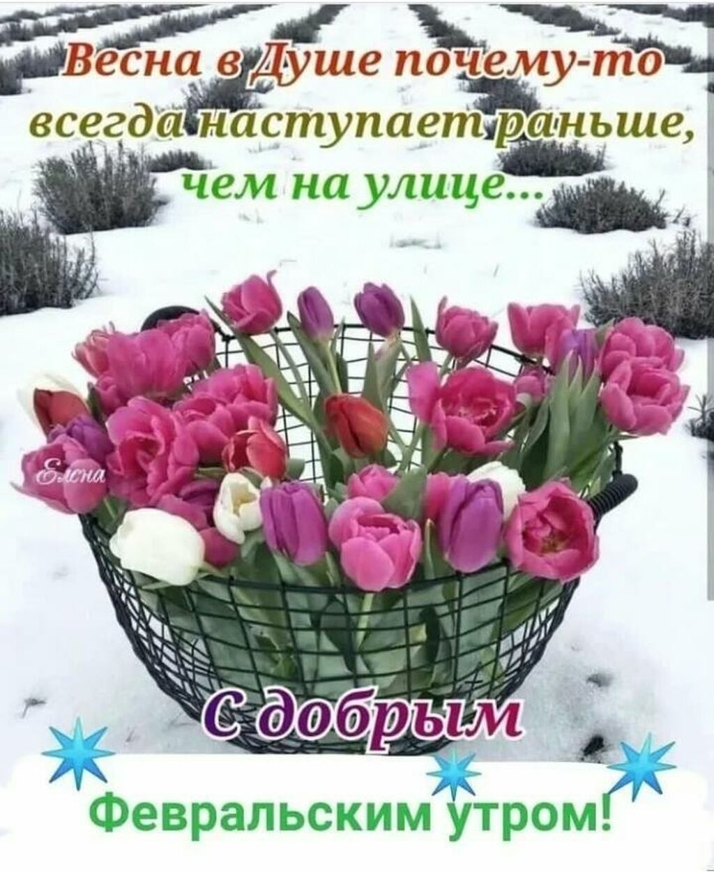 175 м², С мебелью полностью