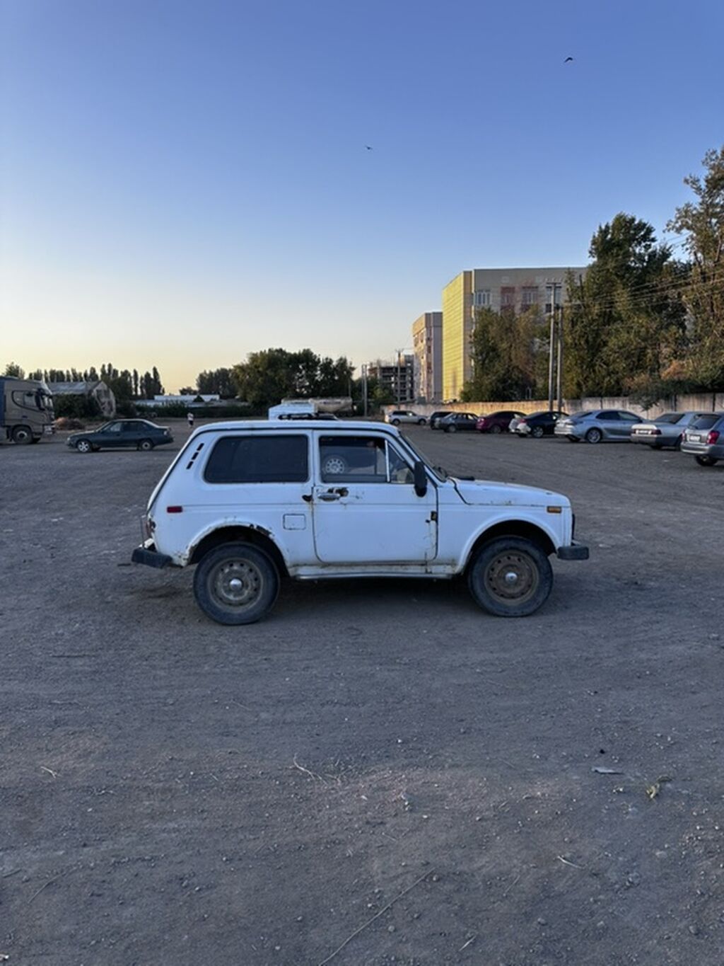 ВАЗ (ЛАДА) 2121 (4x4): 1981 г., Внедорожник: фото 3