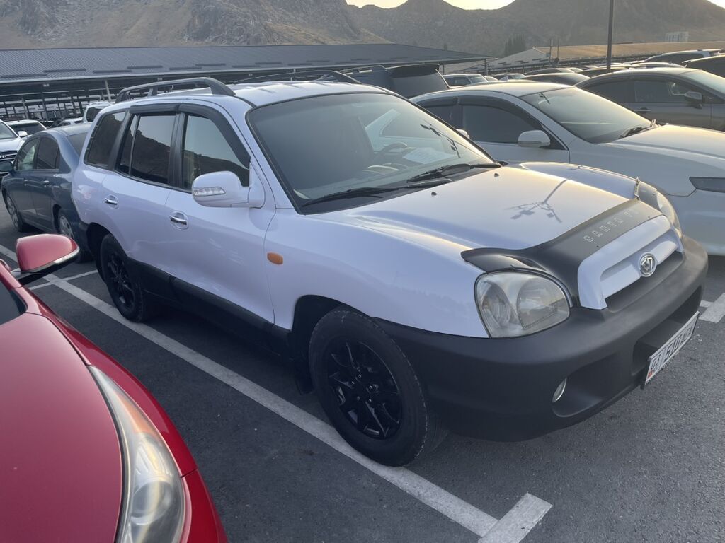 Hyundai Santa Fe: 2004 г., 2 л, Автомат, Дизель, Кроссовер: фото 4