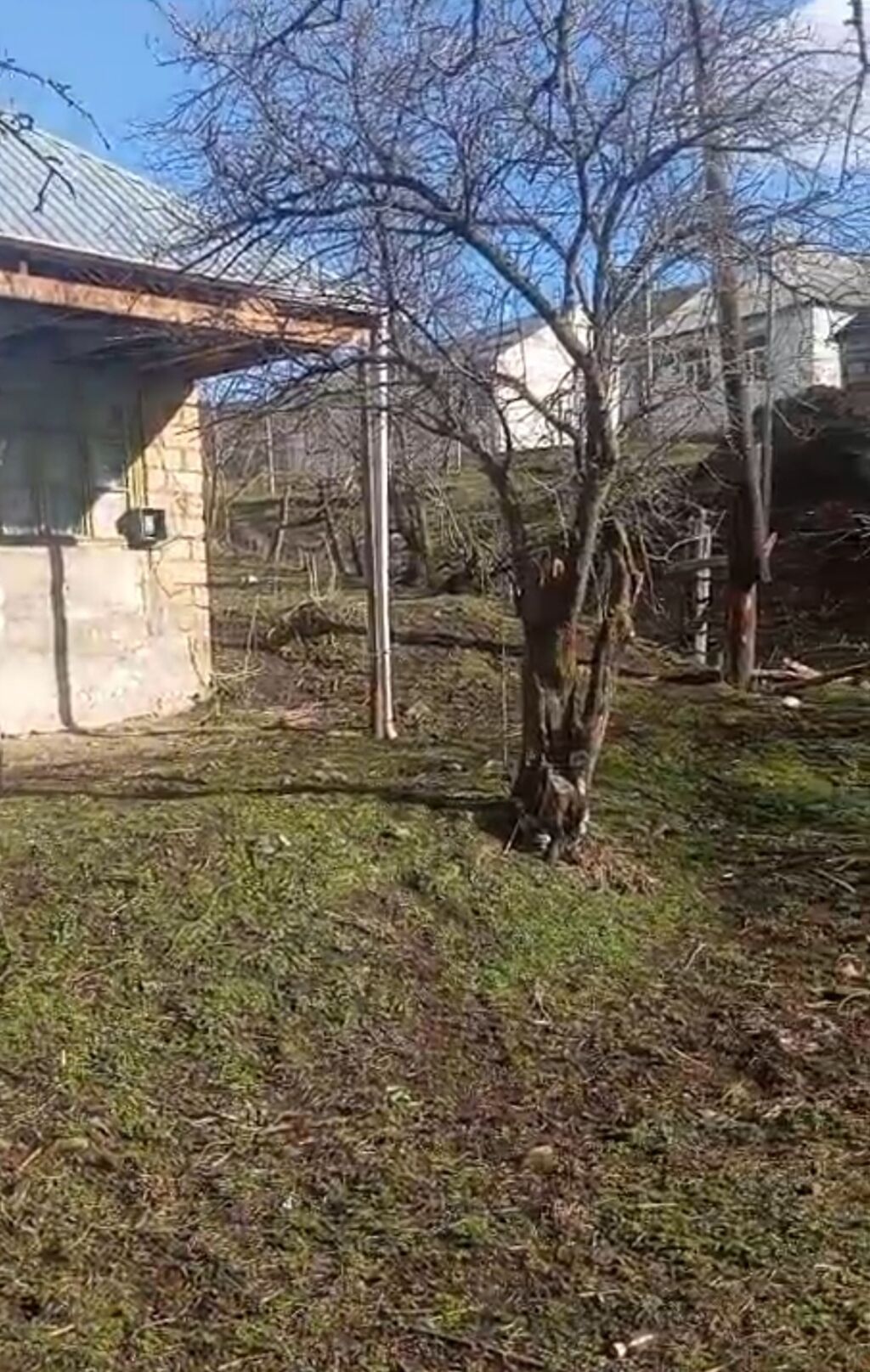 Dağ kəndində yerləşən həyətyanı torpaq sahəsi və köhnə tikili