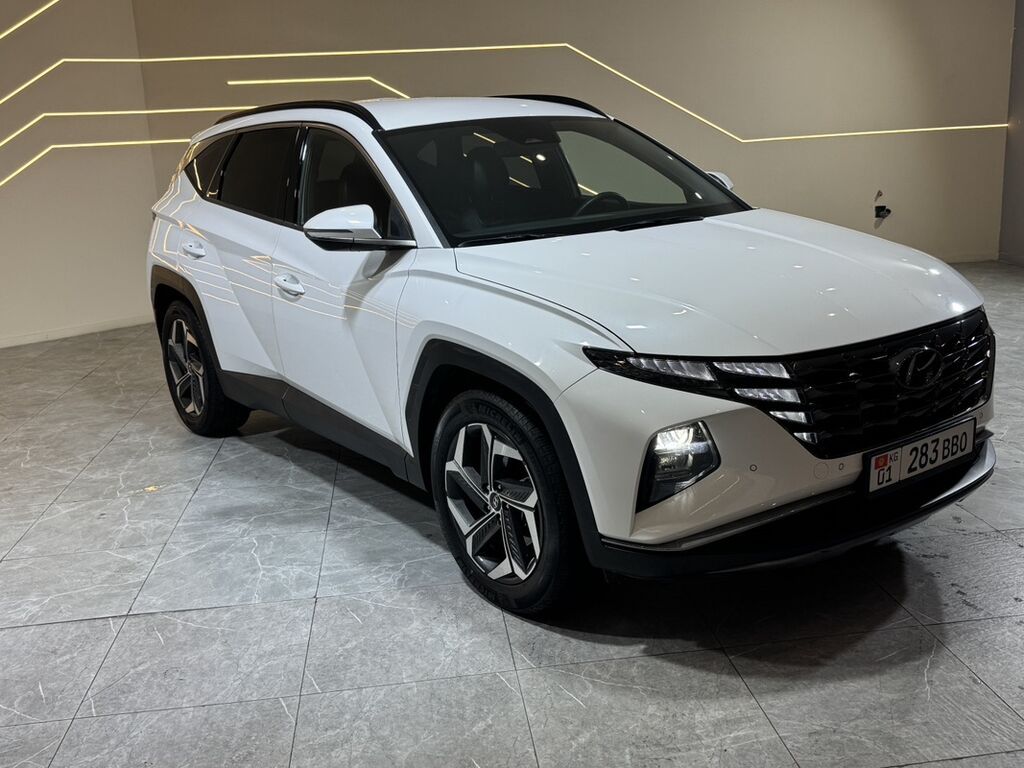 Hyundai Tucson: 2020 г., 1.6 л, Робот, Бензин, Кроссовер: фото 2