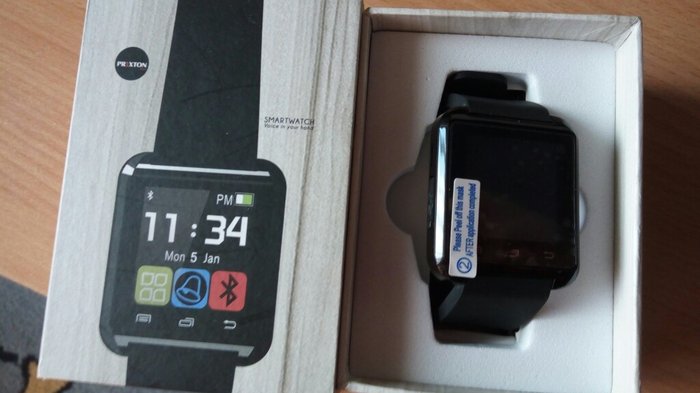 prixton watch