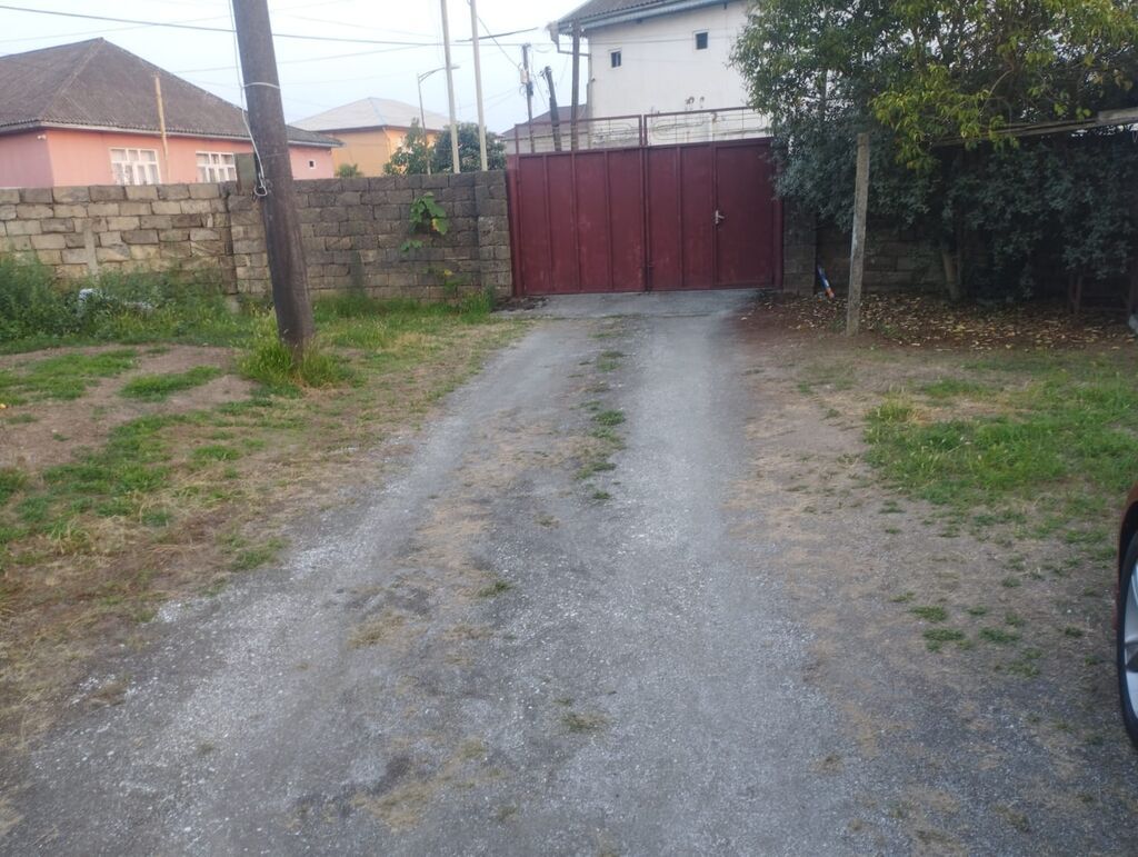 3 sot, Tikinti, Kupça (Çıxarış)