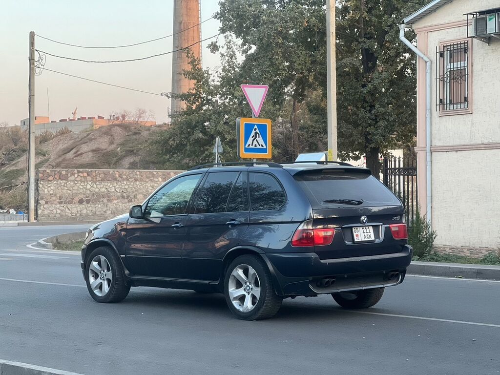 BMW X5: 2004 г., 4.4 л, Автомат, Бензин, Кроссовер: фото 6