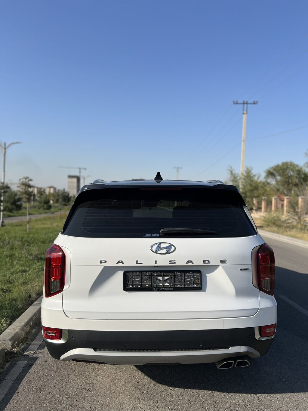 Hyundai Palisade: 2019 г., 2.2 л, Автомат, Дизель, Кроссовер: фото 4