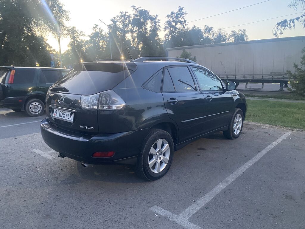 Lexus RX: 2004 г., 3 л, Автомат, Бензин, Кроссовер: фото 3
