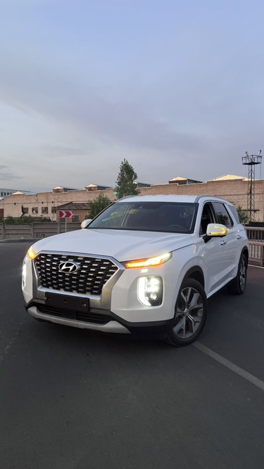 Hyundai Palisade: 2020 г., 2.2 л, Автомат, Дизель, Кроссовер: фото 5