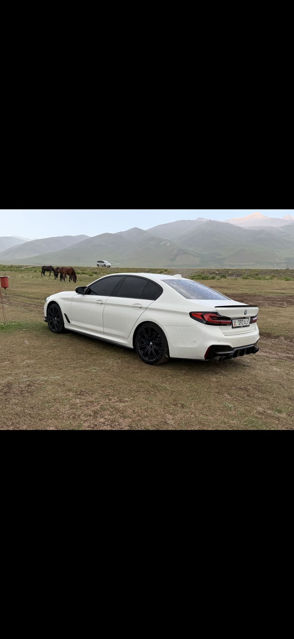 BMW 5 series: 2019 г., 2 л, Автомат, Бензин, Седан: фото 5
