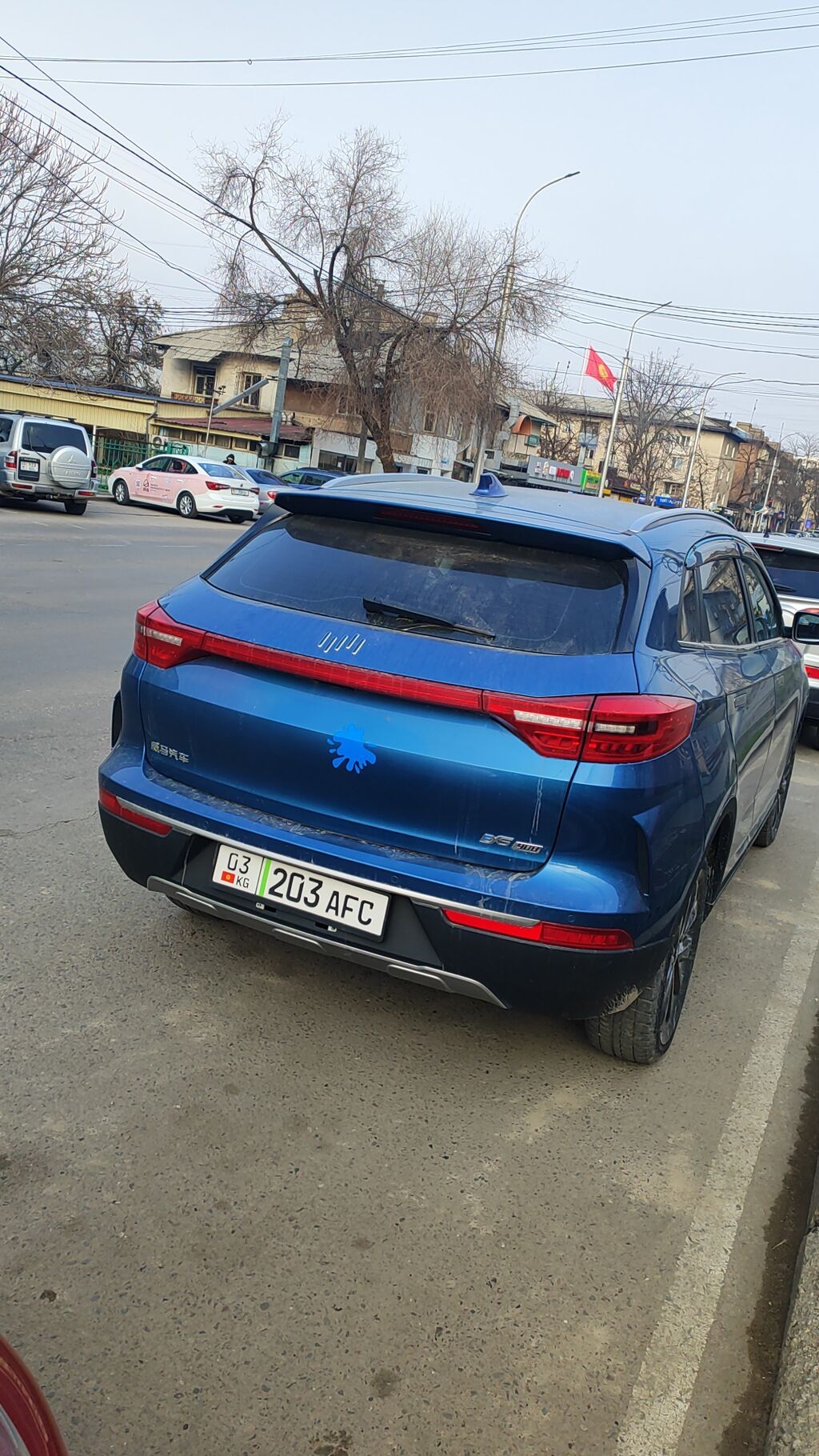 BYD E5: 2020 г., Электромобиль, Кроссовер: фото 3