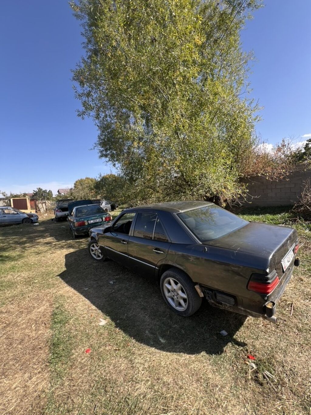 Mercedes-Benz W124: 1994 г., Седан: фото 4