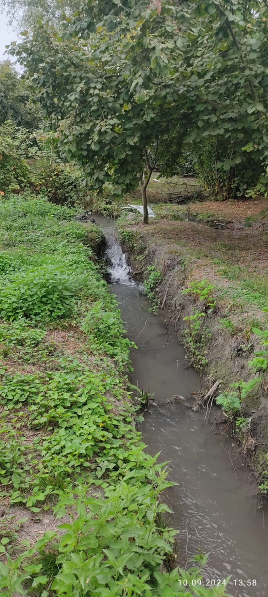 80 sot, Kənd təsərrüfatı, Mülkiyyətçi, Kupça (Çıxarış)