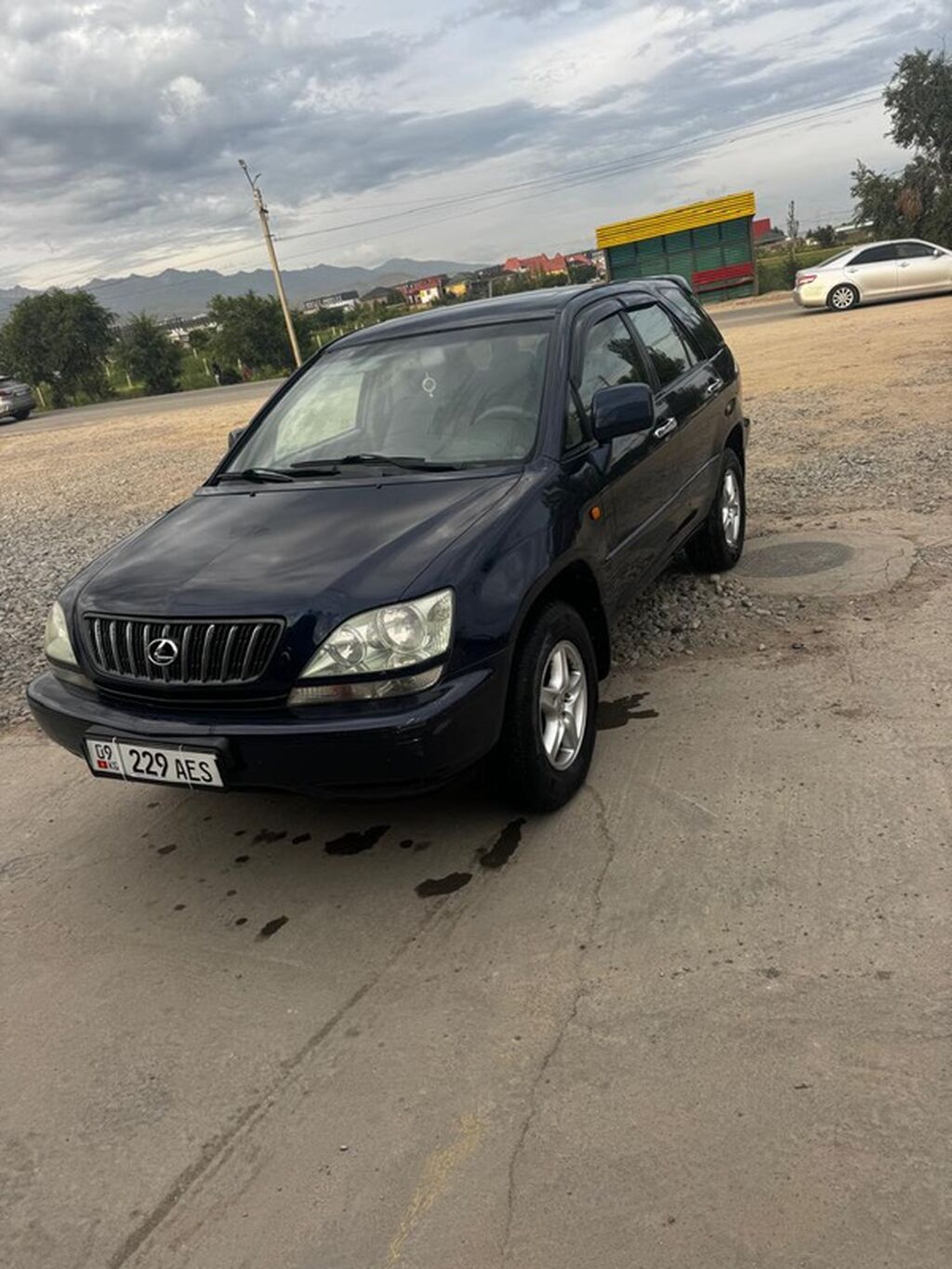 Lexus RX: 2002 г., 3 л, Автомат, Газ, Кроссовер: фото 4