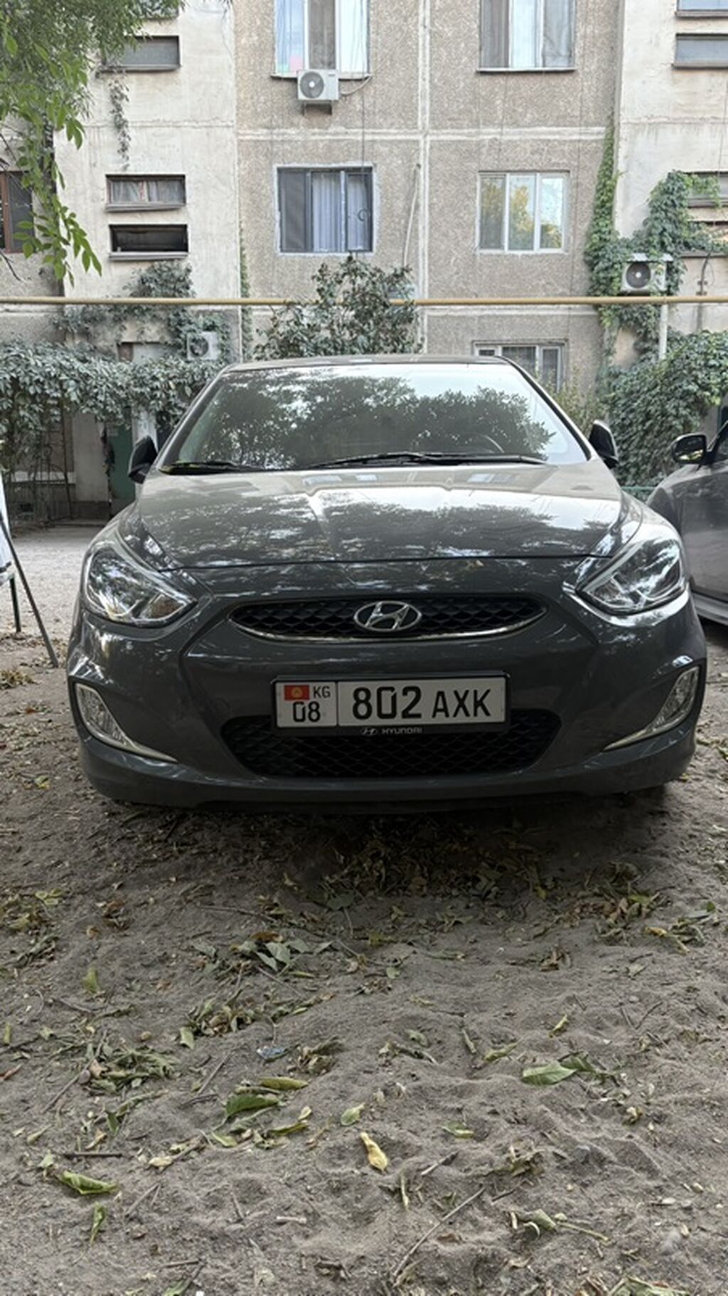 Hyundai Accent: 2019 г., 1.4 л, Бензин: фото 2