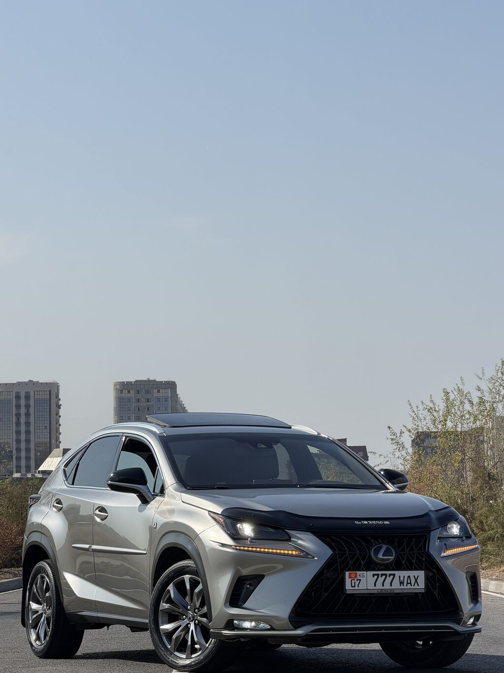 Lexus NX: 2019 г., 2 л, Автомат, Бензин, Кроссовер: фото 1