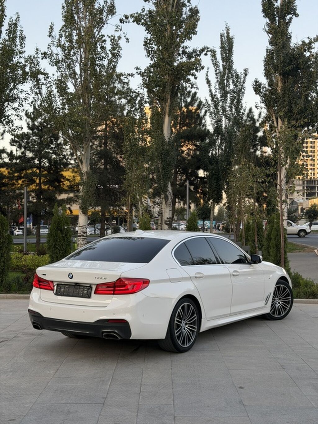 BMW 530: 2019 г., 2 л, Автомат, Бензин, Седан: фото 4
