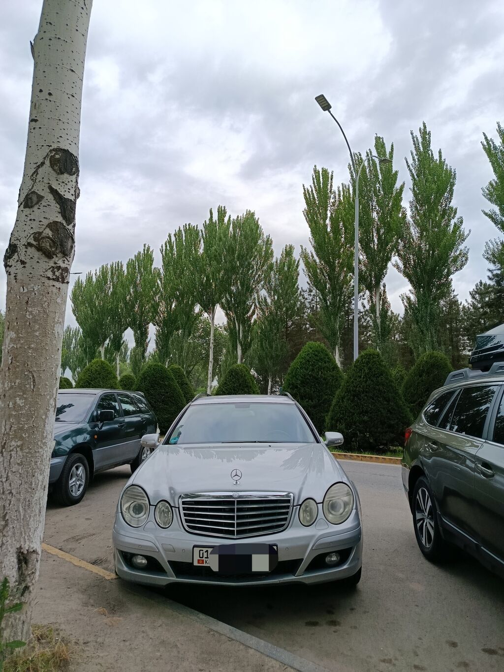 Mercedes-Benz E-Class: 2008 г., 3 л, Автомат, Дизель, Универсал: фото 3