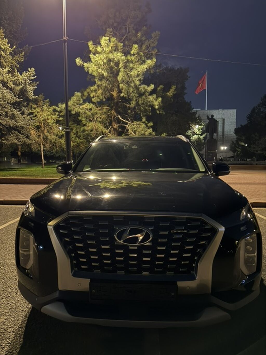 Hyundai Palisade: 2019 г., 2.2 л, Автомат, Дизель, Кроссовер: фото 2