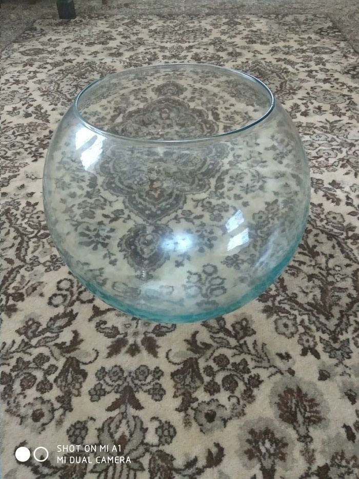 Akvarium: - lalafo.az Bakı şəhərində
