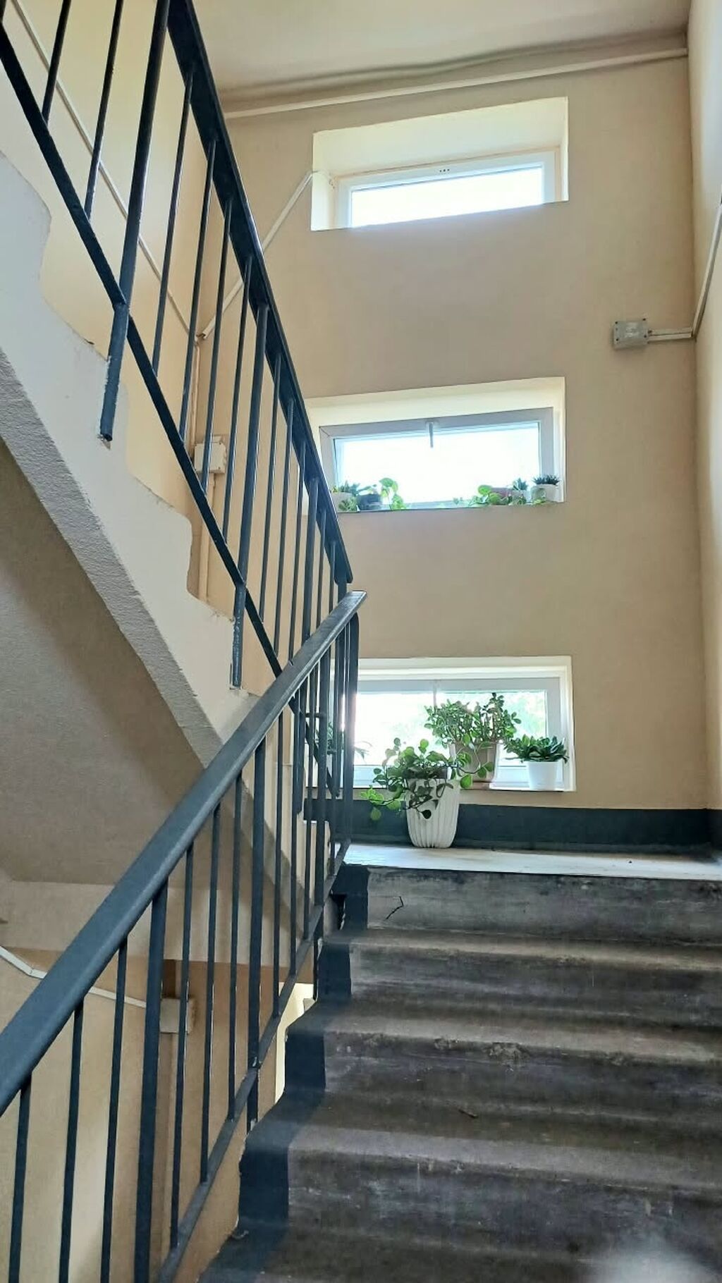 2 комнаты, 44 м², Бишкек Парк ТРЦ Индивидуалка, 3 этаж, Требуется ремонт: фото 8