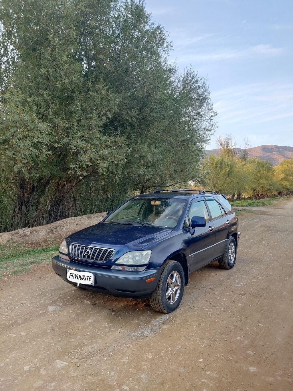 Lexus RX: 2001 г., 3 л, Автомат, Бензин, Кроссовер: фото 2