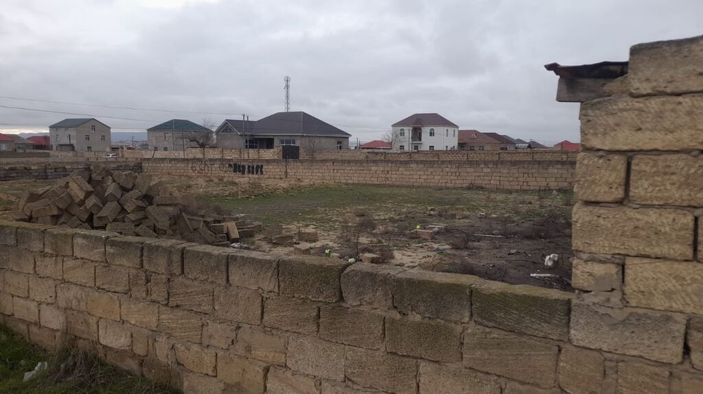 Tikinti, Mülkiyyətçi