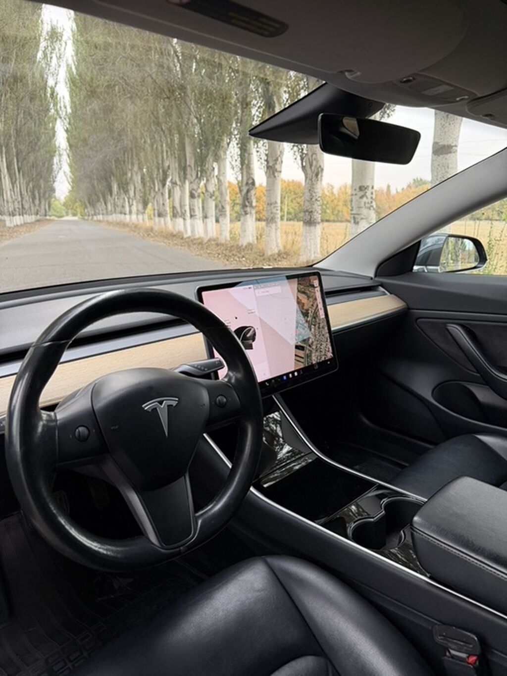 Tesla Model 3: 2018 г., 0.1 л, Автомат, Электромобиль, Седан: фото 7