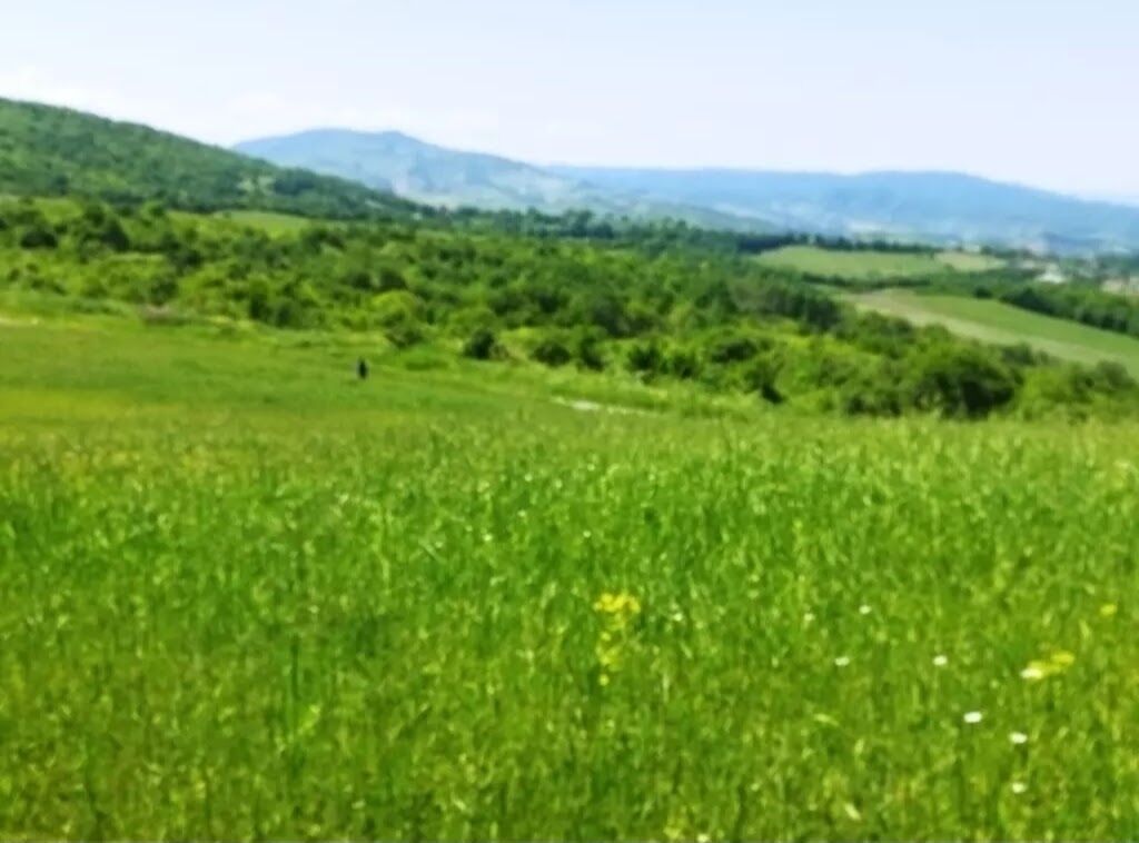 524 sot, Biznes üçün, Barter mümkündür, Kupça (Çıxarış)
