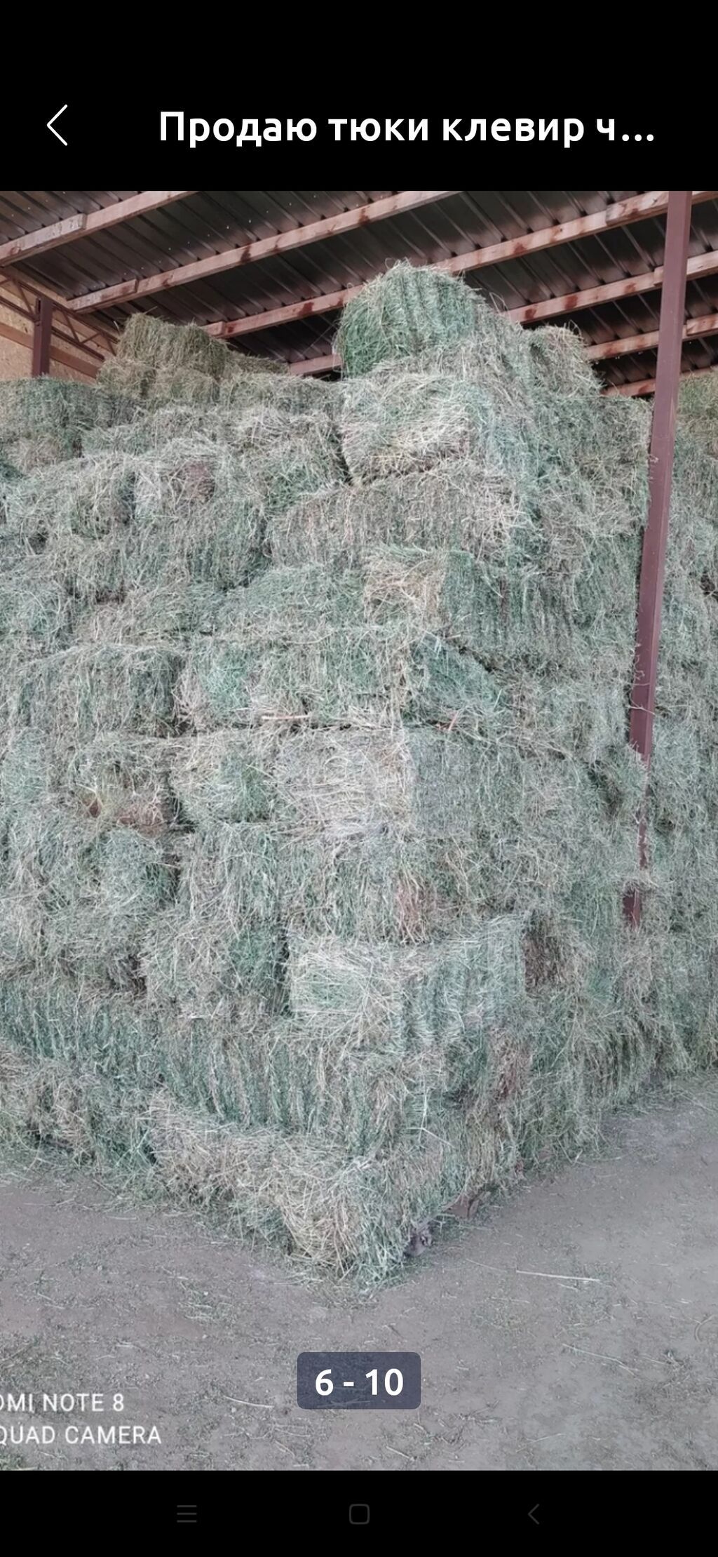 Продаю тюки чистый клевер второй и третий кос без доставки с места: фото 6