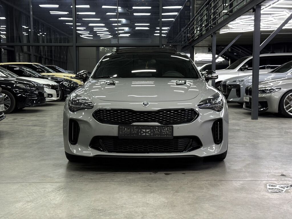 Kia Stinger: 2018 г., 3.3 л, Автомат, Бензин, Фастбек: фото 4