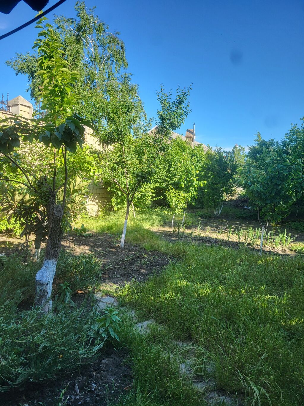 8 otaq, 7 kv. m, Orta təmir