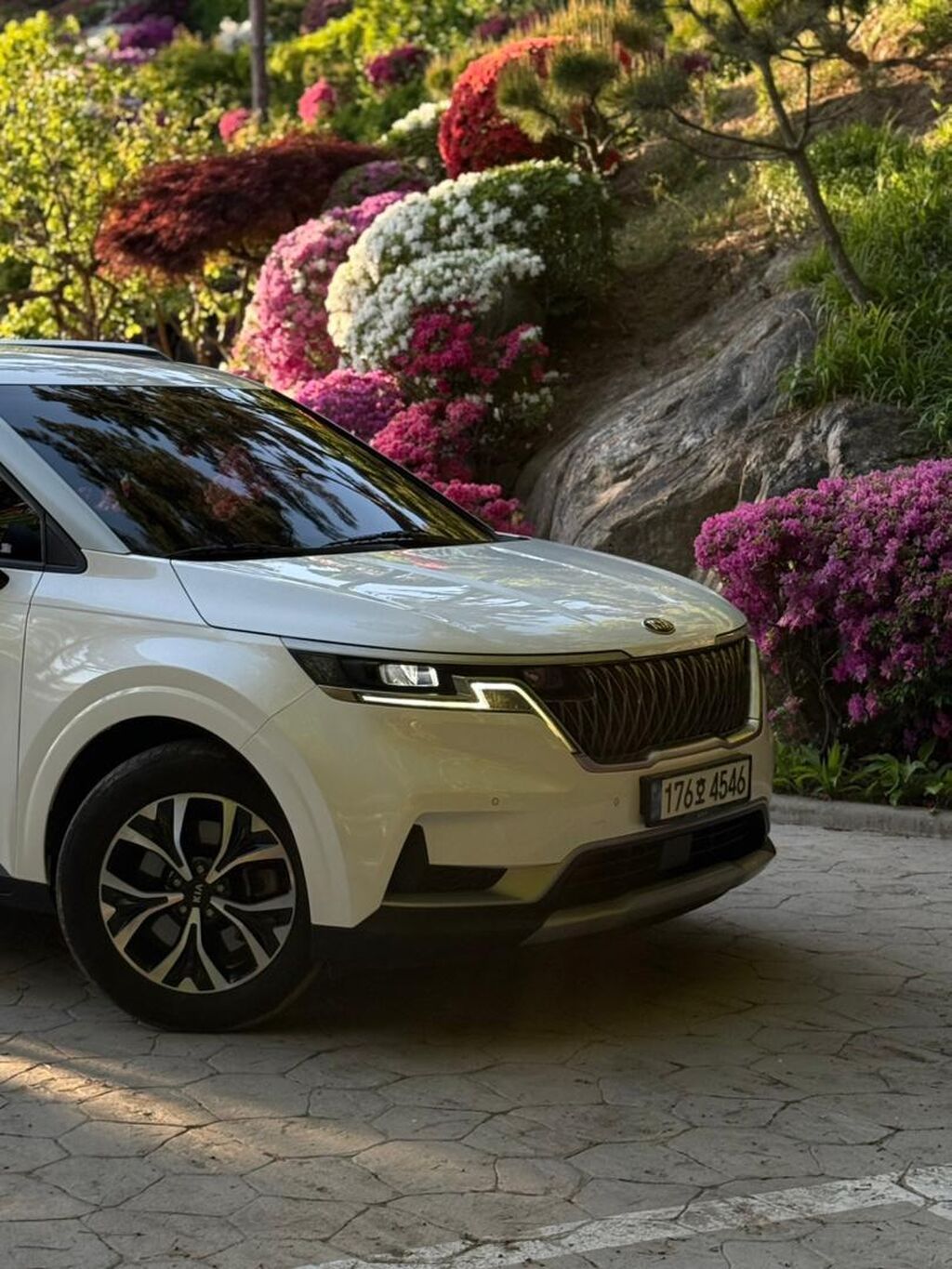 Kia Carnival 2021, дизель, 2.2 л, автомат: фото 8