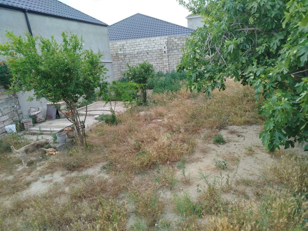 4 sot, Tikinti, Mülkiyyətçi, Kupça (Çıxarış)