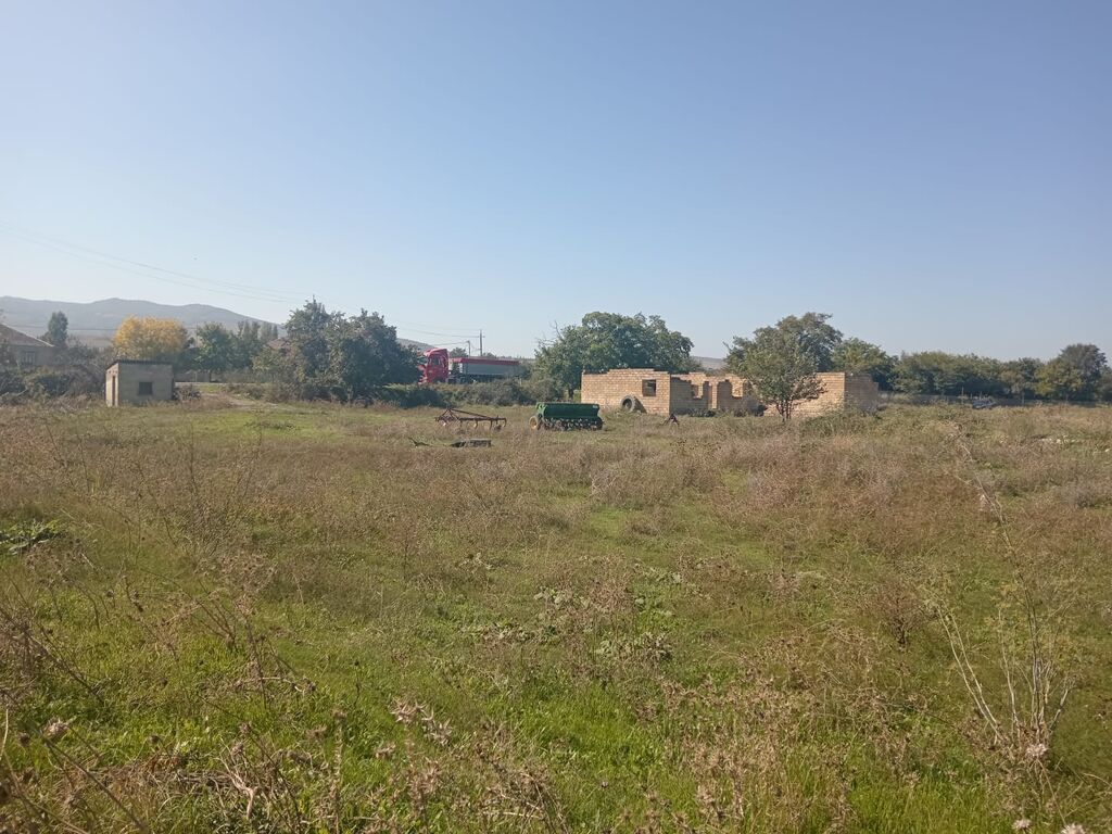 Biznes üçün