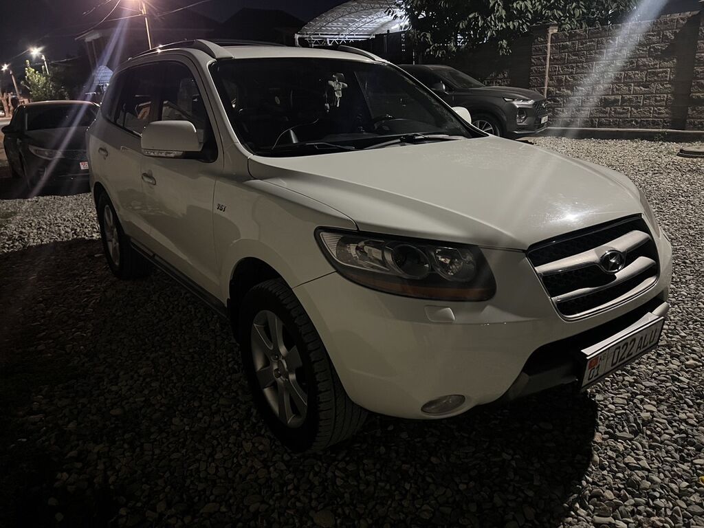 Hyundai Santa Fe: 2010 г., 2 л, Автомат, Дизель, Кроссовер: фото 1