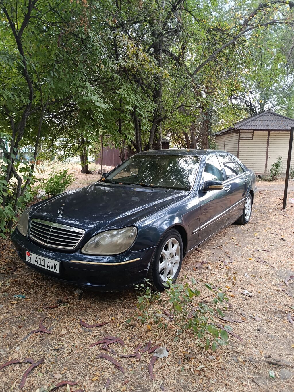 Mercedes-Benz S-Class: 2001 г., 5 л, Автомат, Бензин, Седан: фото 1