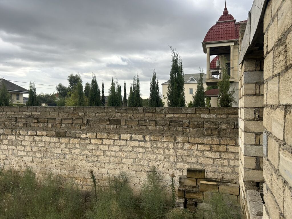 6 sot, Tikinti, Kupça (Çıxarış)