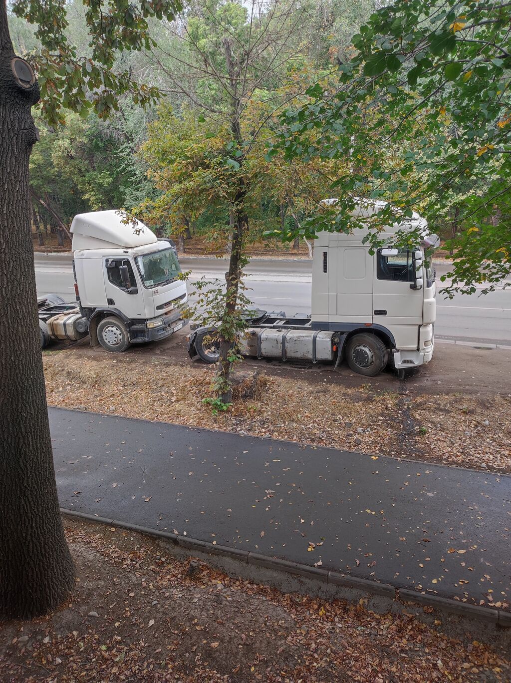 Тягач, DAF, 2001 г., Без прицепа: фото 7