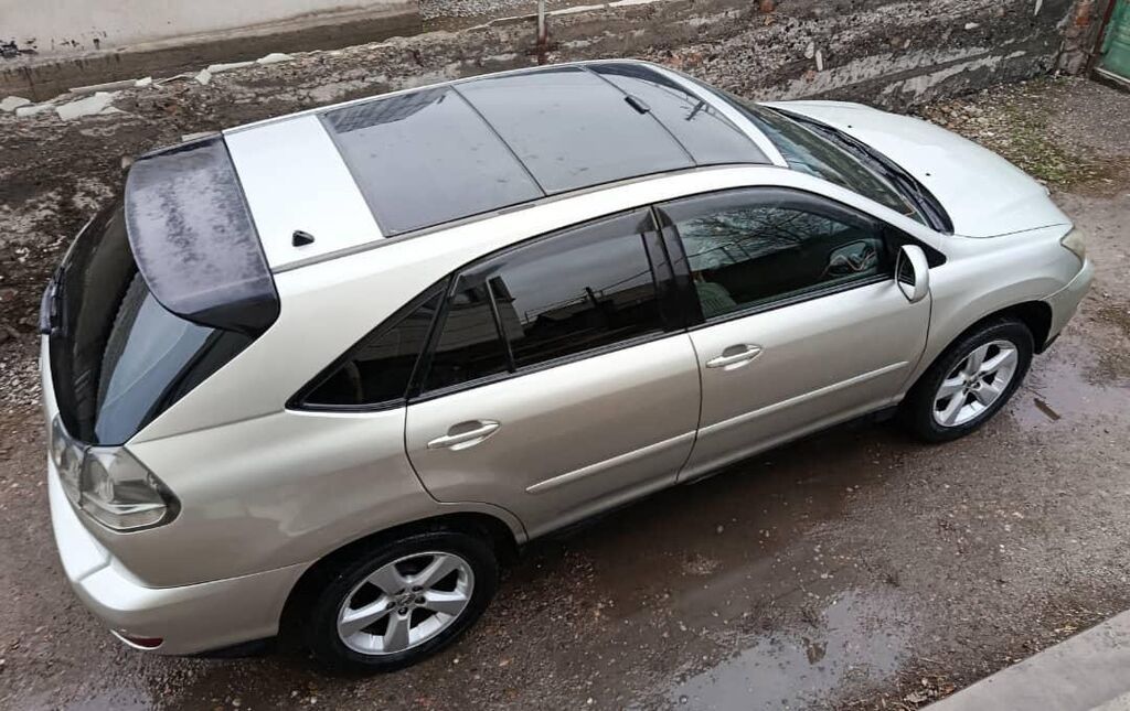 Lexus RX: 2005 г., Кроссовер: фото 6