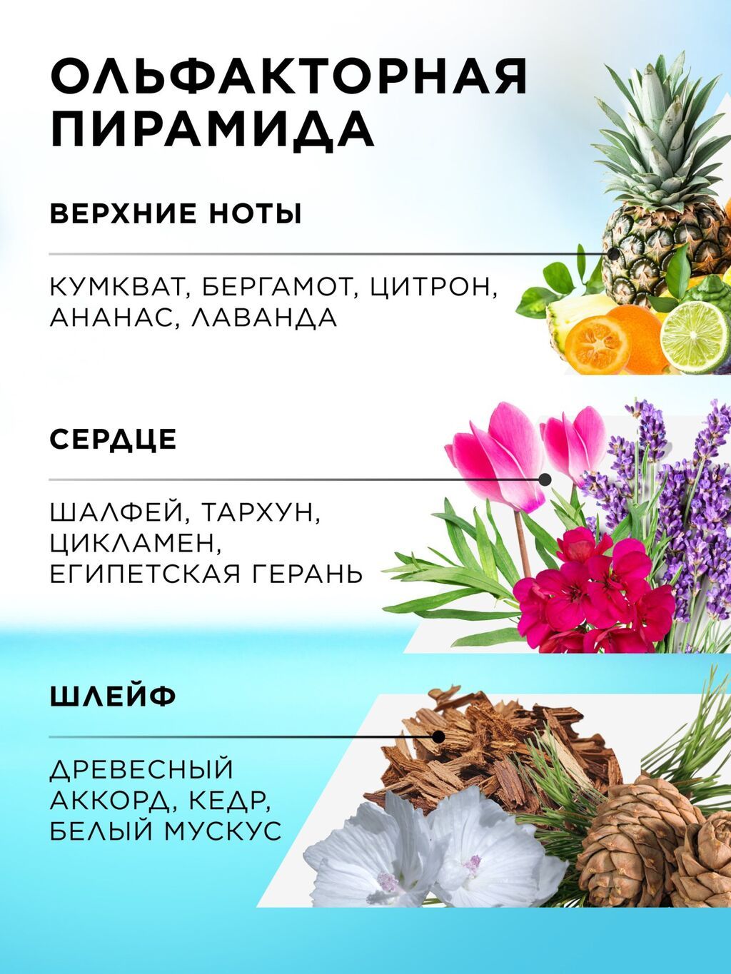 Faberlic Tavarua — мужская туалетная вода с ароматическим — фото 2
