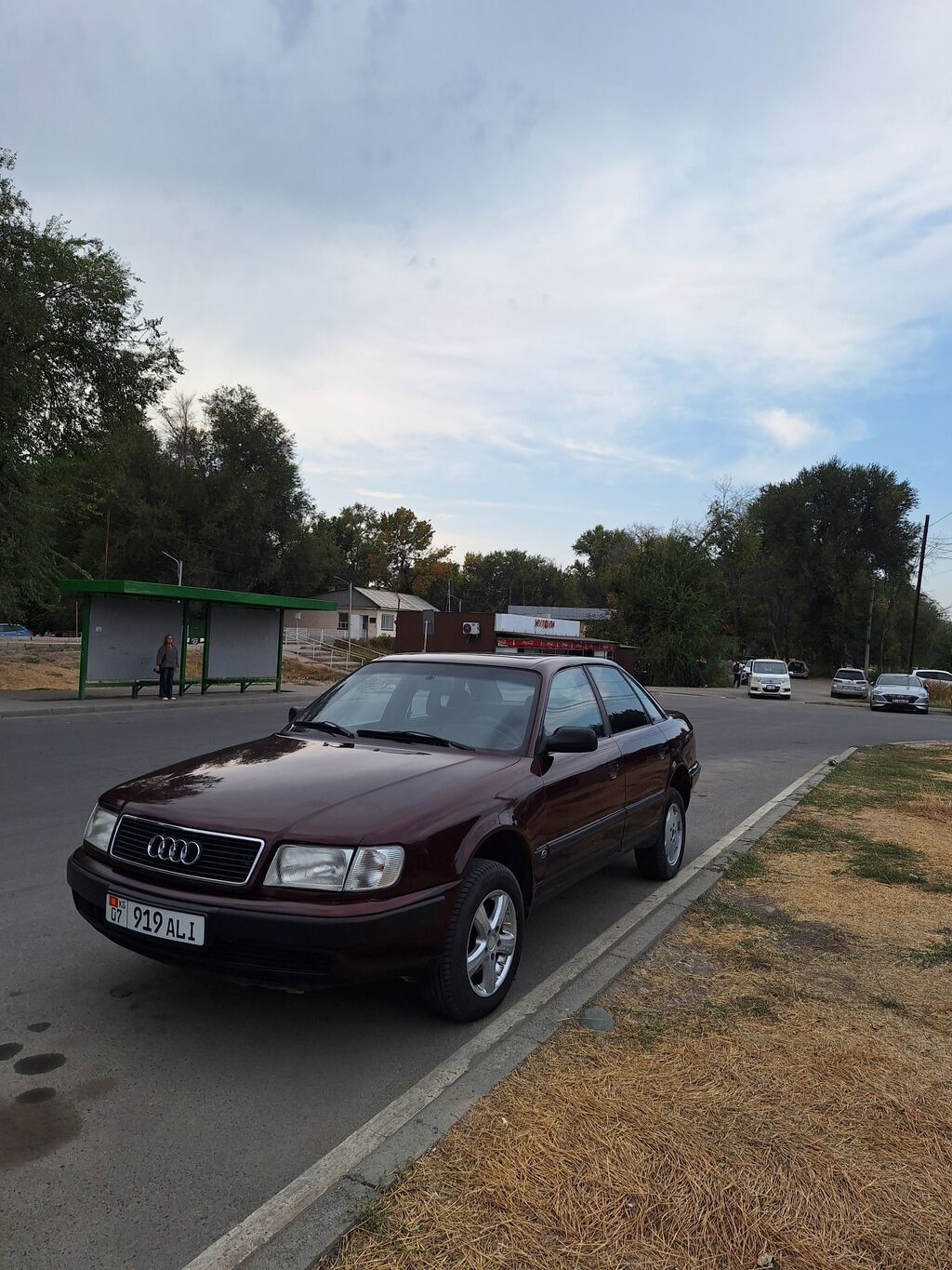 Audi 100: 1993 г., 2.8 л, Механика, Бензин, Седан: фото 6